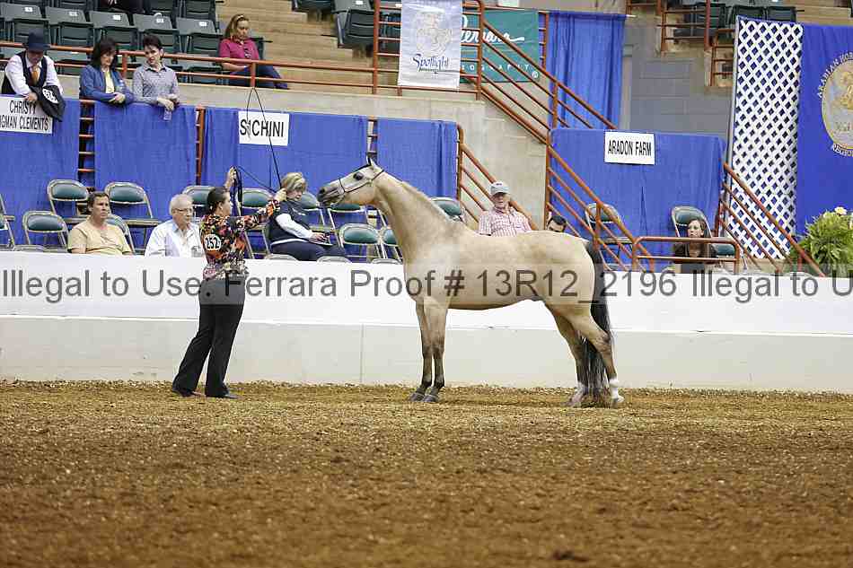 Proof 13r12_2196
