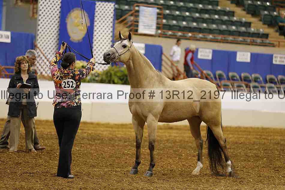 Proof 13r12_2197