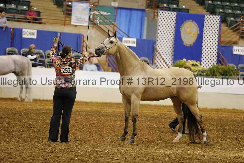 Proof 13r12_2198