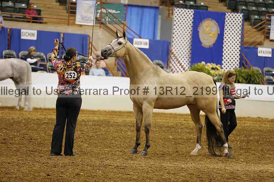 Proof 13r12_2199
