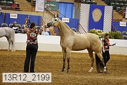 13r12_2199 proof