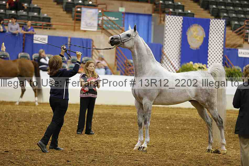 Proof 13r12_2202