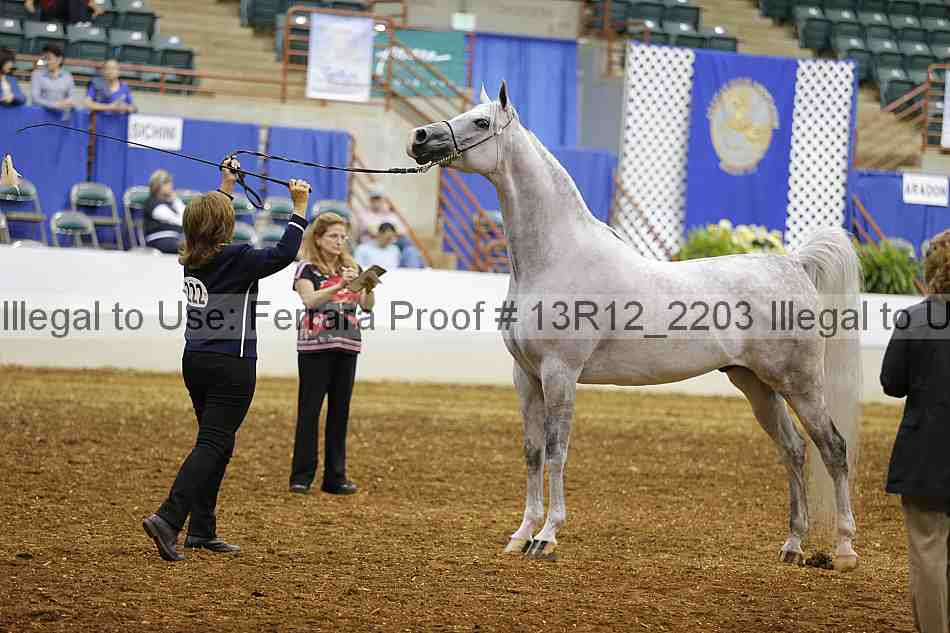 Proof 13r12_2203