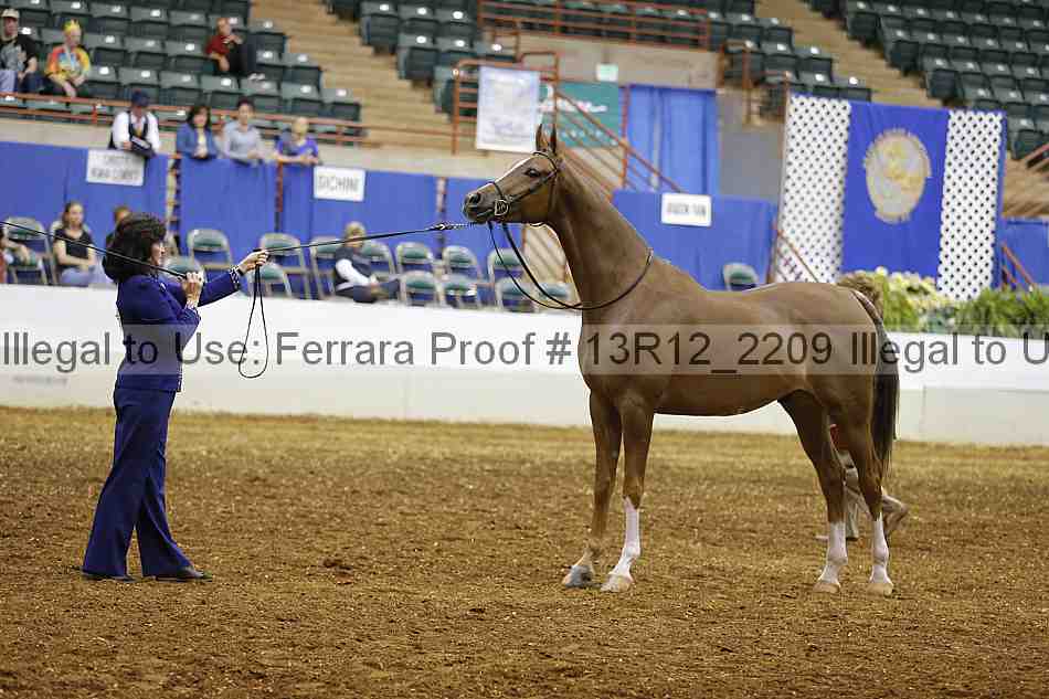 Proof 13r12_2209