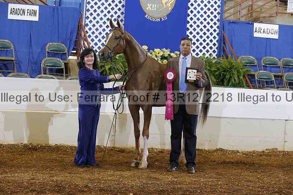 Proof 13r12_2218