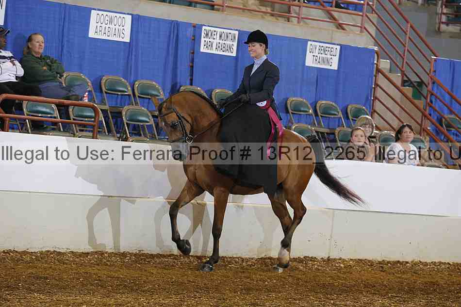 Proof 13r12_2265