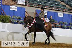 13r12_2268 proof