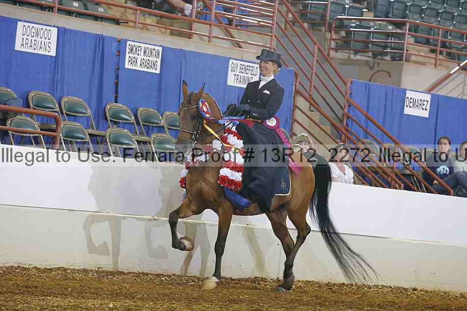 Proof 13r12_2272