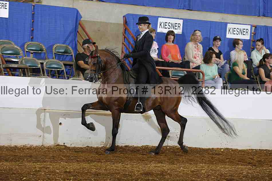 Proof 13r12_2282