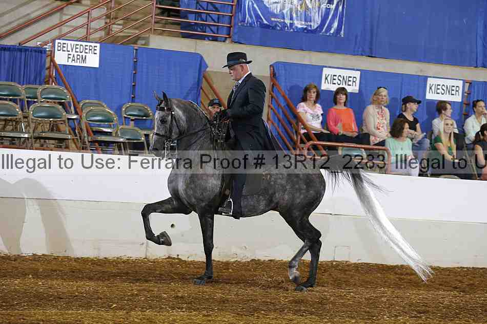 Proof 13r12_2283