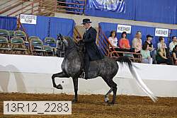 13r12_2283 proof
