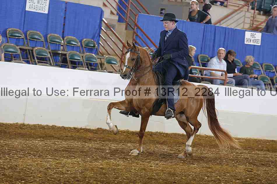 Proof 13r12_2284