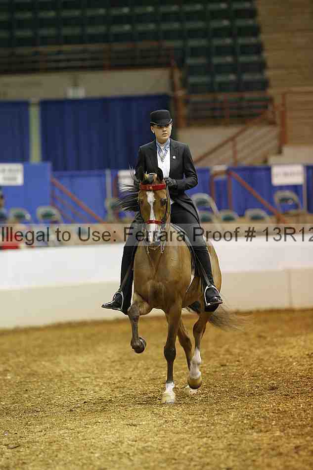 Proof 13r12_2285