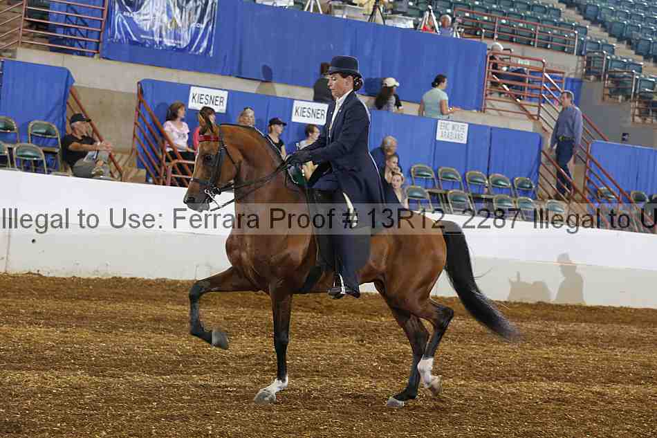 Proof 13r12_2287