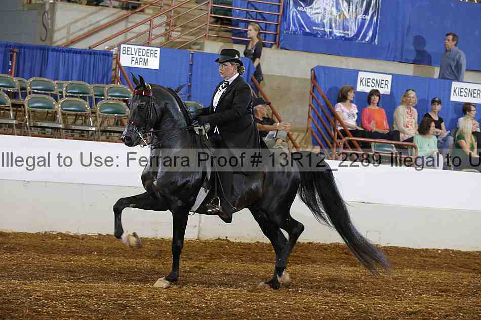 Proof 13r12_2289