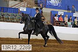 13r12_2289 proof