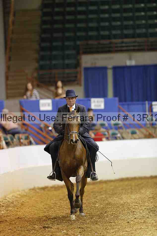 Proof 13r12_2290