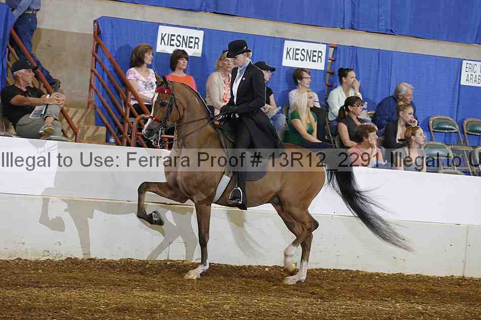 Proof 13r12_2291