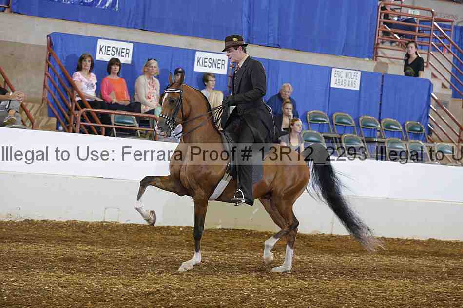 Proof 13r12_2293