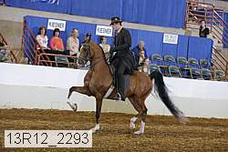 13r12_2293 proof
