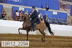 13r12_2294 proof