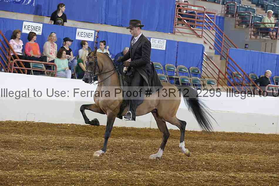 Proof 13r12_2295