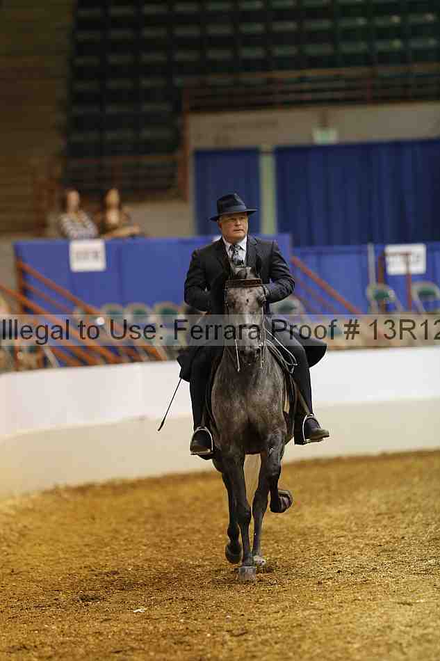 Proof 13r12_2297