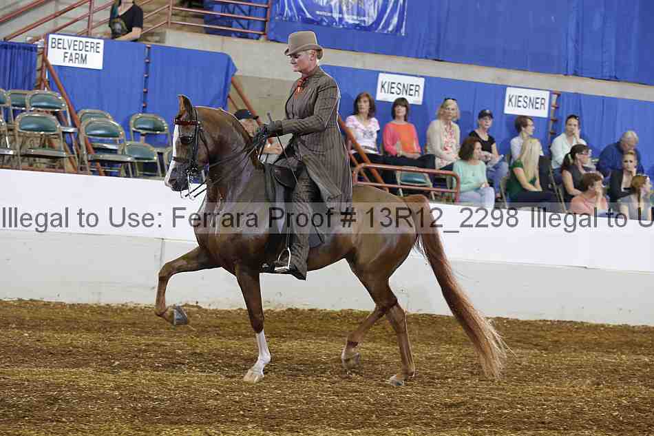 Proof 13r12_2298