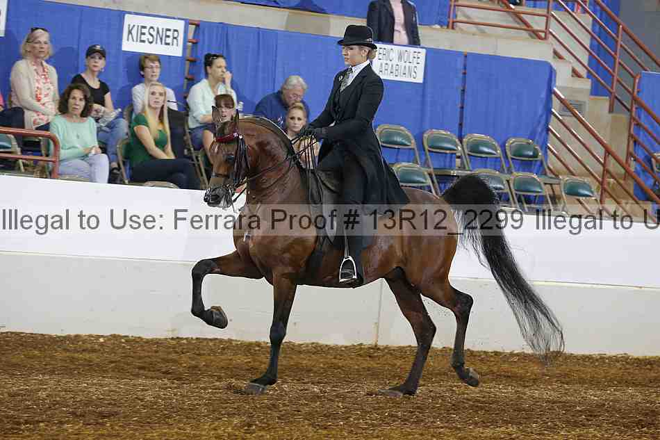 Proof 13r12_2299