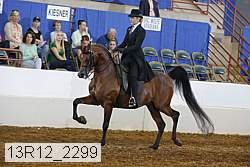 13r12_2299 proof