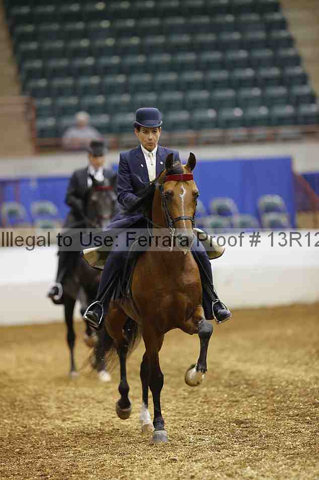 Proof 13r12_2301