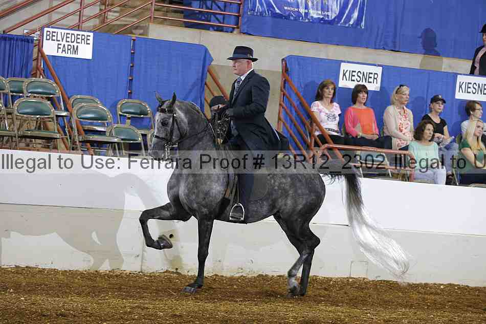 Proof 13r12_2302