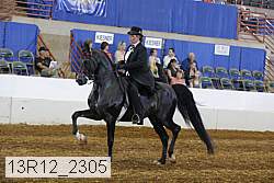 13r12_2305 proof