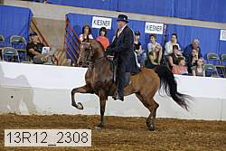 13r12_2308 proof