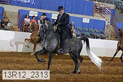 13r12_2313 proof