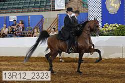 13r12_2323 proof
