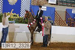 13r12_2328 proof