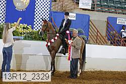 13r12_2329 proof