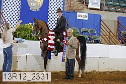 13r12_2331 proof