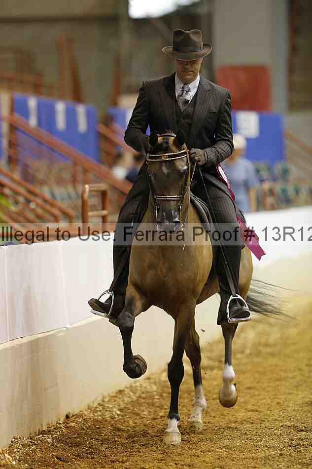 Proof 13r12_2340