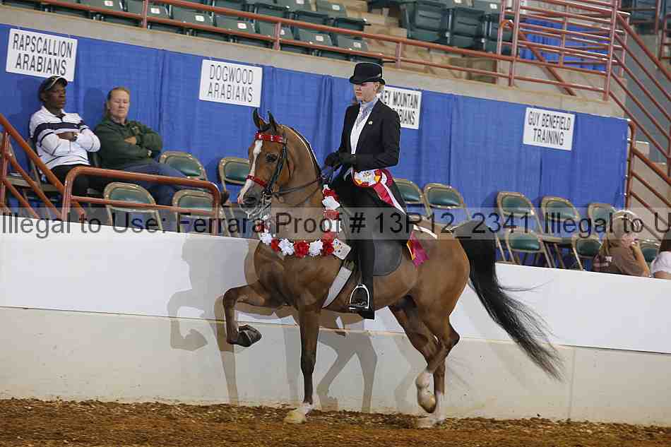 Proof 13r12_2341