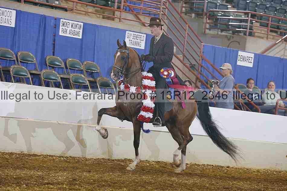 Proof 13r12_2346