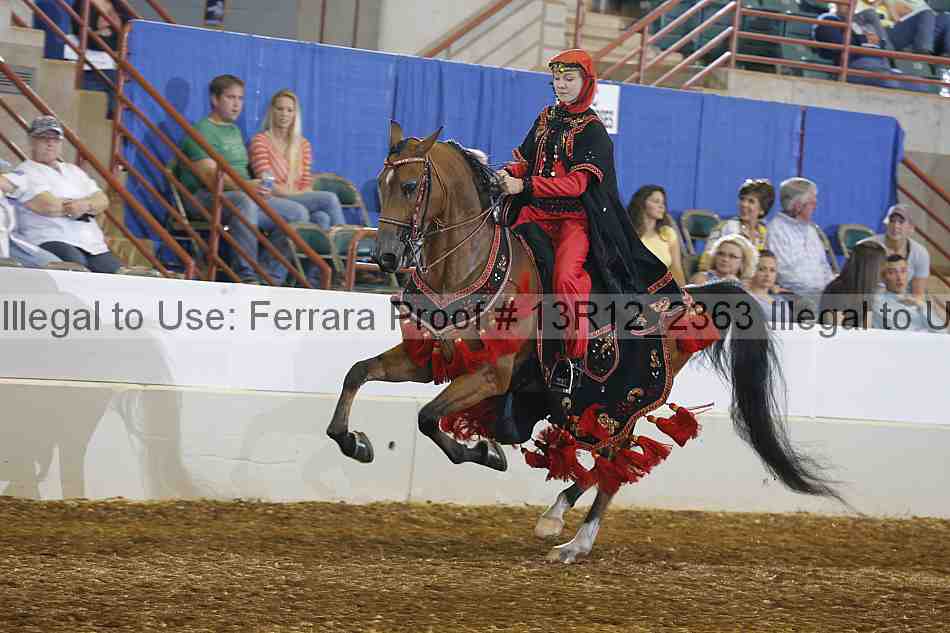 Proof 13r12_2363