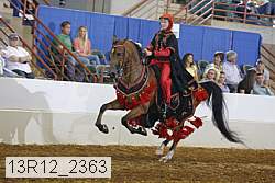 13r12_2363 proof