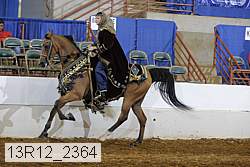 13r12_2364 proof