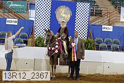 13r12_2367 proof