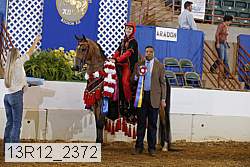 13r12_2372 proof