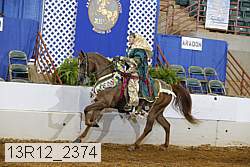 13r12_2374 proof