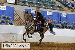 13r12_2377 proof