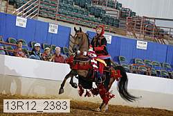 13r12_2383 proof